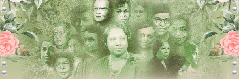 AKA | Pi Alpha Omega Chapter banner