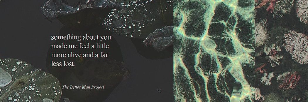 shizun apologist banner