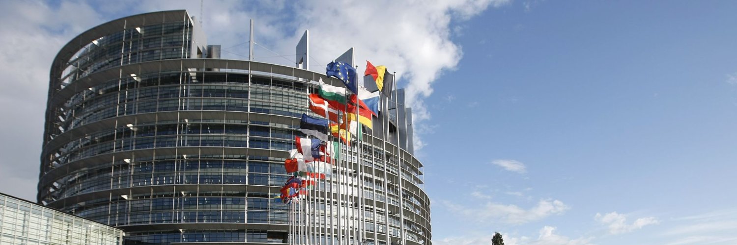 Maria Grapini banner