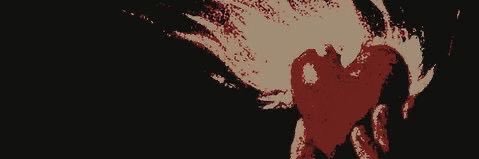 _isacury's profile banner image