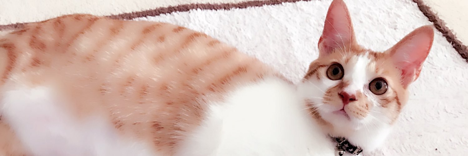 KYAMyuki's profile banner image