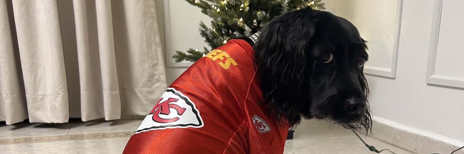 aleherrera345's profile banner image