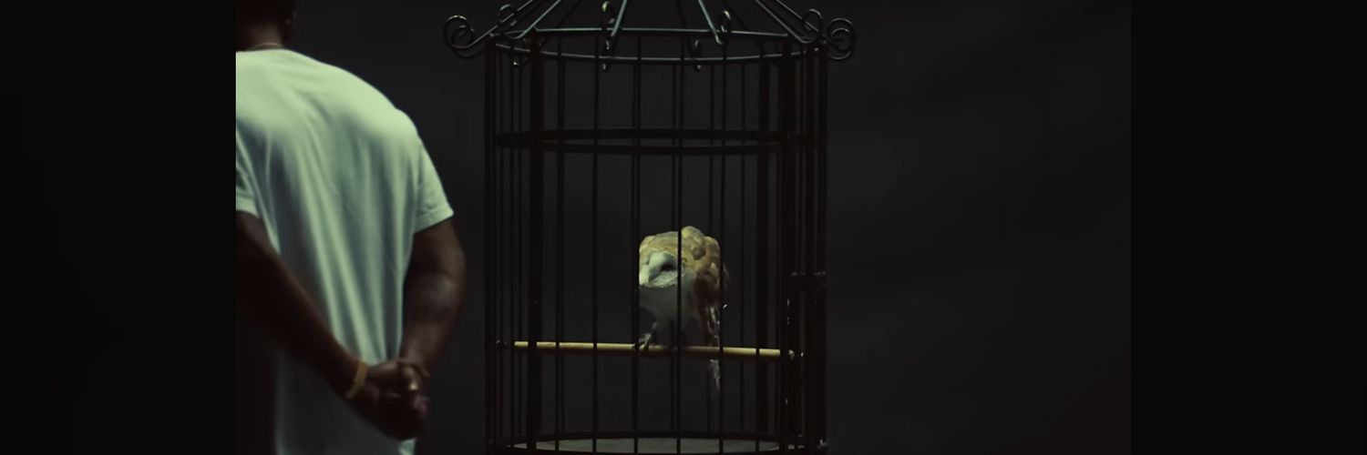 Momo banner