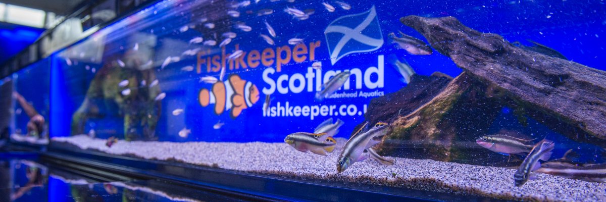 FishkeeperSco's profile banner image