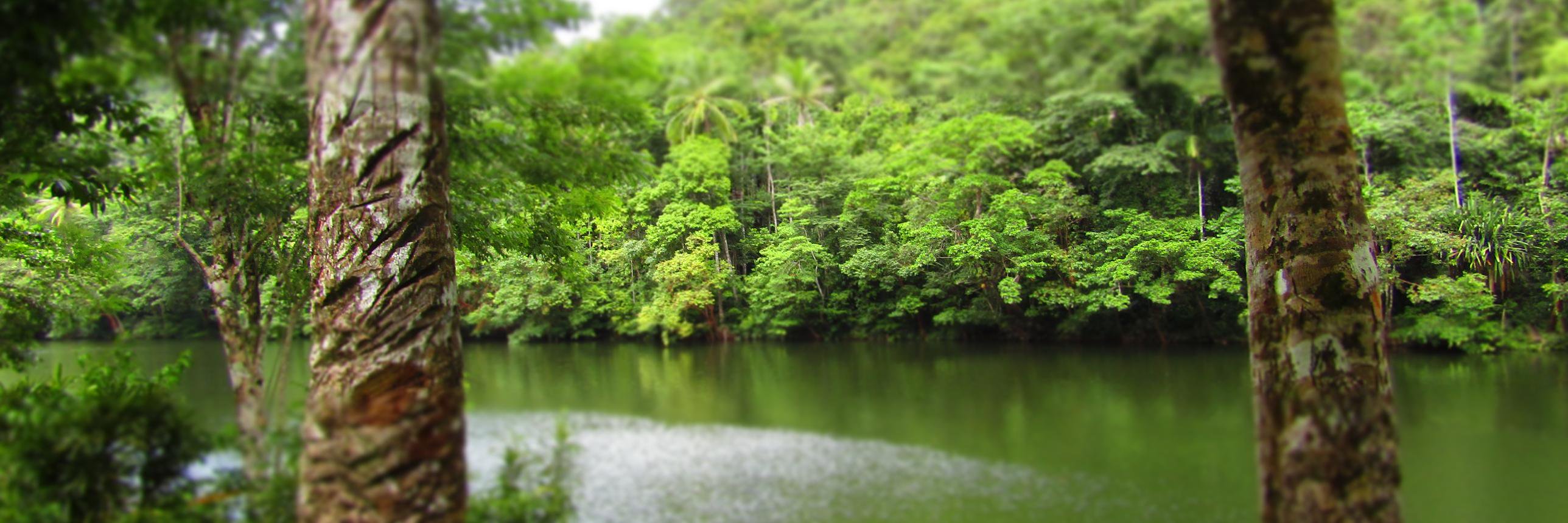 badilaunalodge's profile banner image