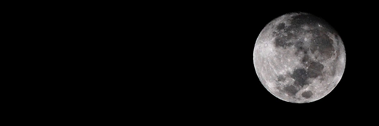 sardoodle's profile banner image