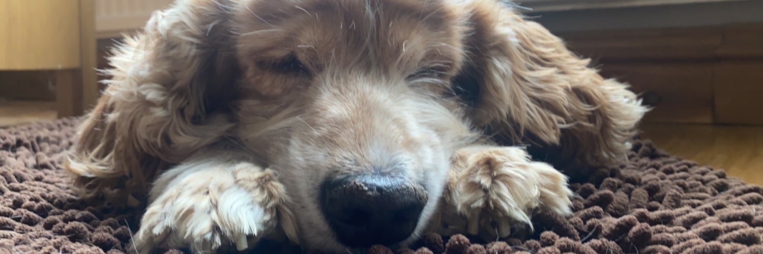 brittanycollz1's profile banner image