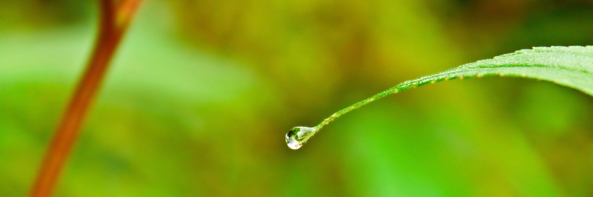 abdullahaleem's profile banner image