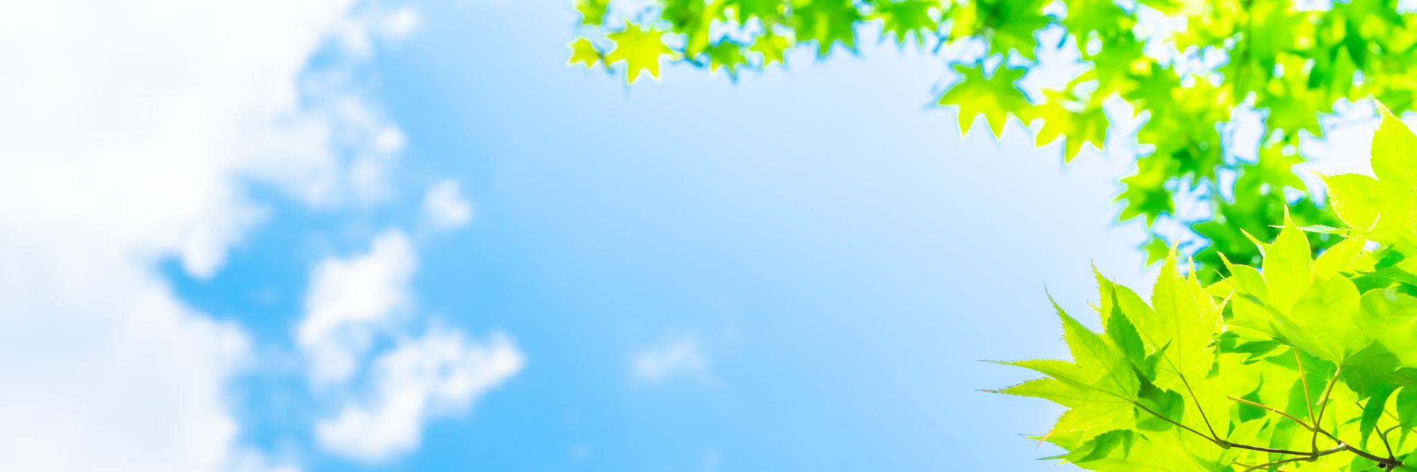 futokonet's profile banner image