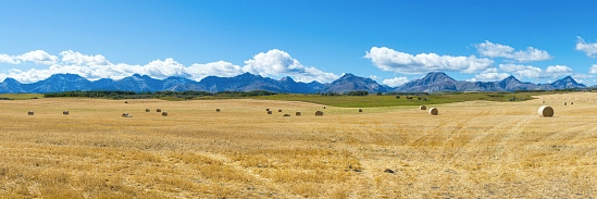 Brad Brinkworth banner