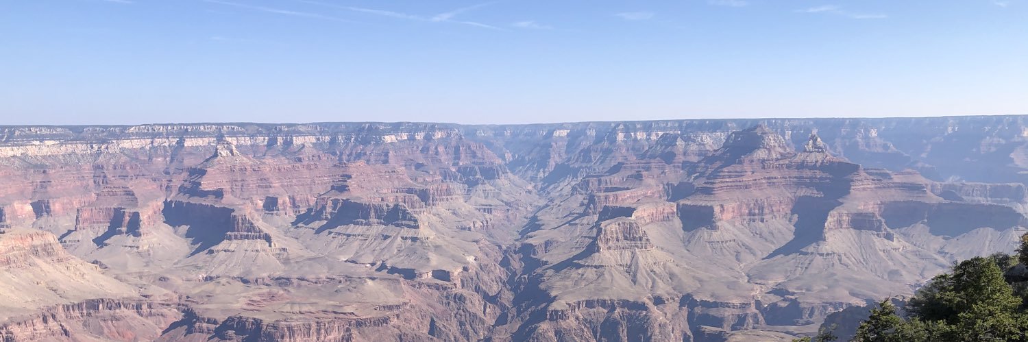 Anthony Waldrop banner