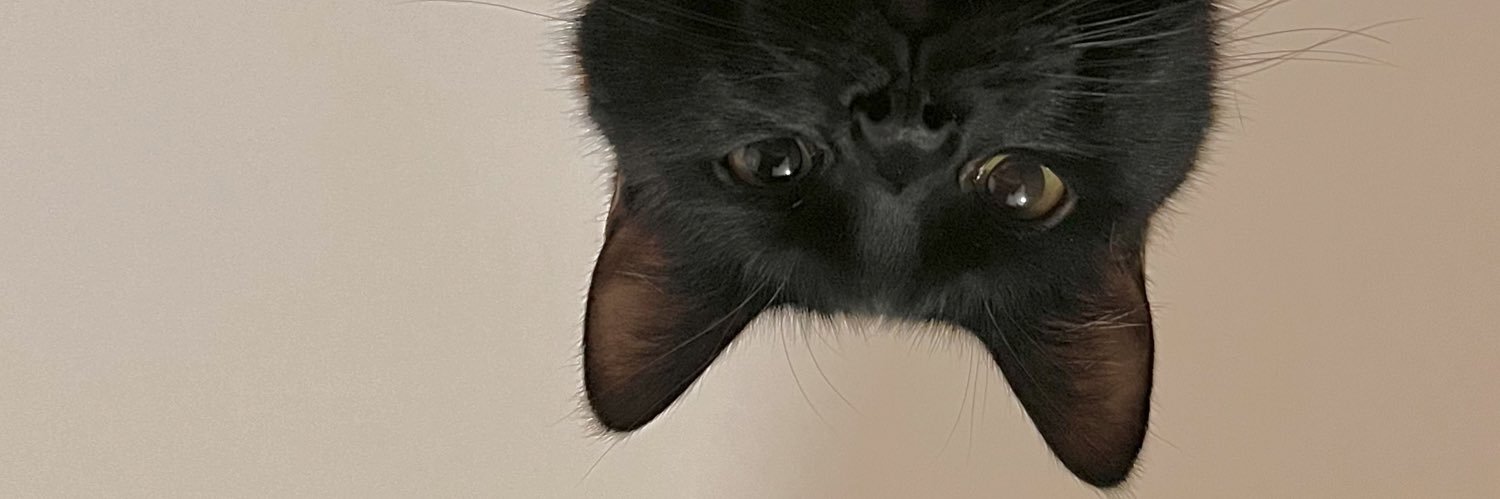 bruuneetti's profile banner image