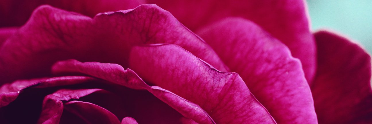 AmazeMagazine's profile banner image