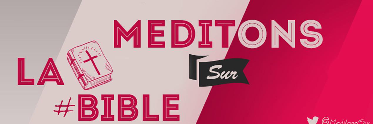 MeditonsSur's profile banner image