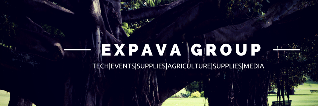 ExpavaGroup's profile banner image