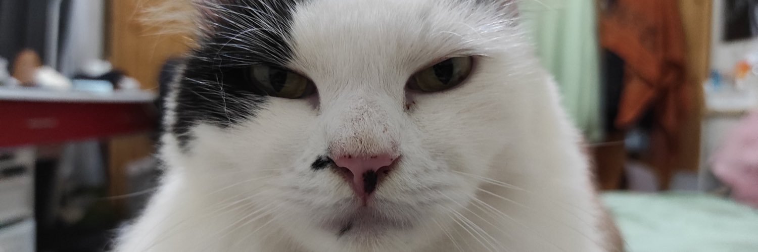 Asep Stroberi banner