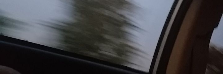 HMPRIWGI_'s profile banner image