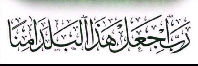 رائد الدهمشي banner