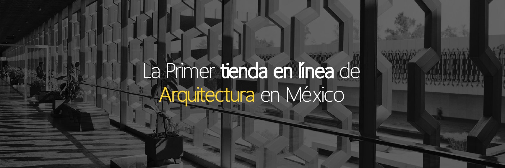 acoramx's profile banner image