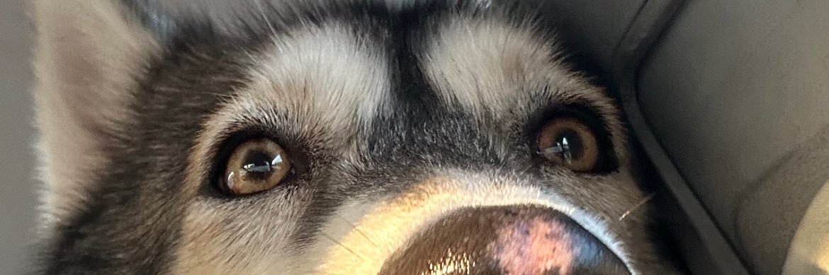 lauurags's profile banner image