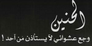 SOSO38891873's profile banner image