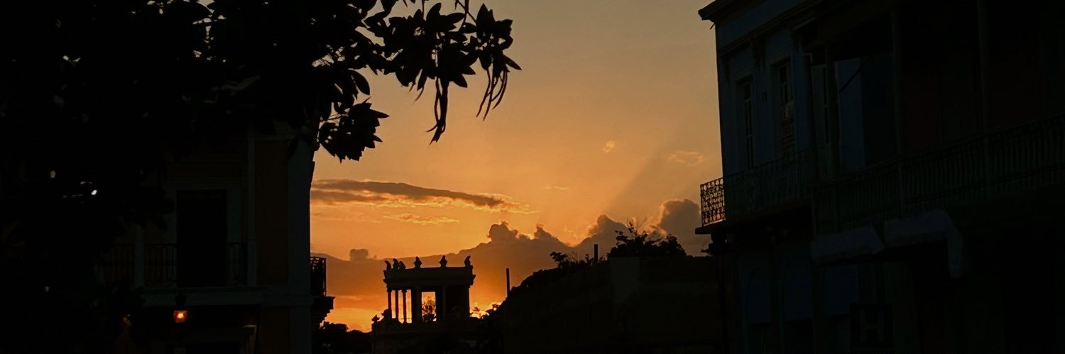 opalquiet's profile banner image
