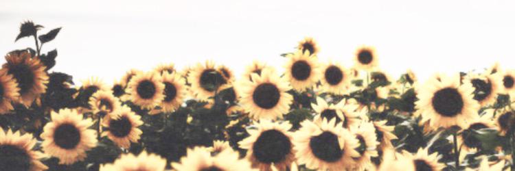 Kyrsten banner