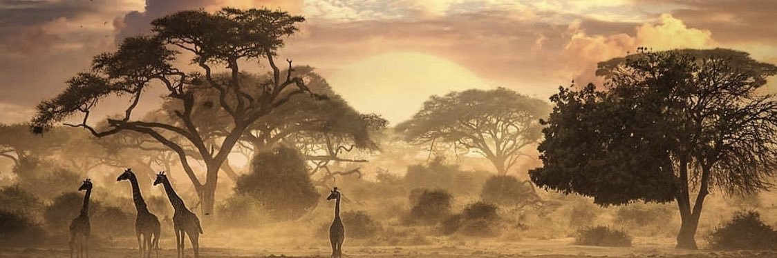 Saggzzz's profile banner image