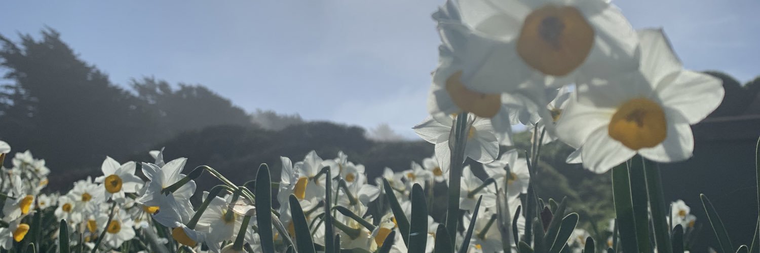 itsmoneebxtch's profile banner image