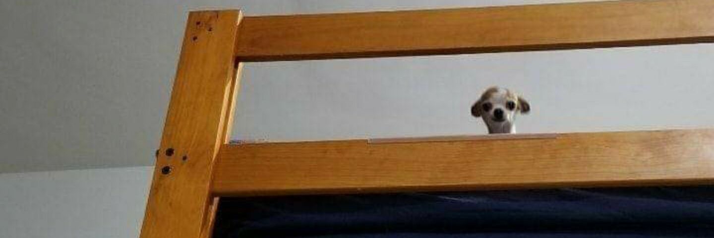 _RickyBee_'s profile banner image