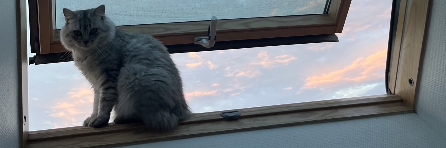 _SchSch_'s profile banner image