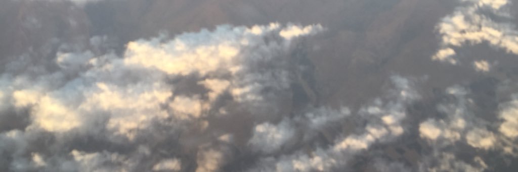 tsalshamali's profile banner image