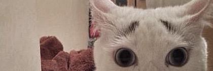 Dunter1's profile banner image
