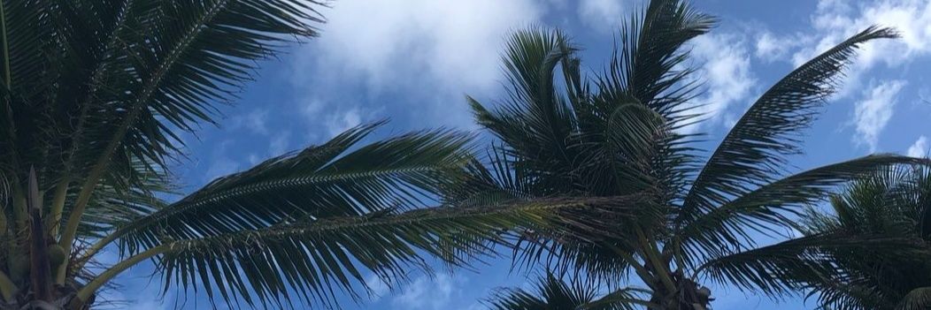 fmdf__'s profile banner image