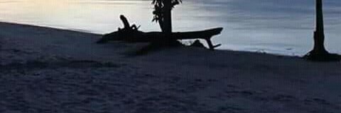 Purely African banner