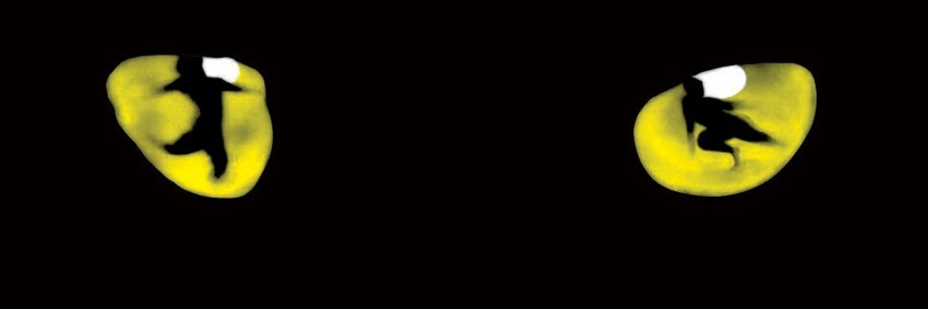 catsthemusical's profile banner image