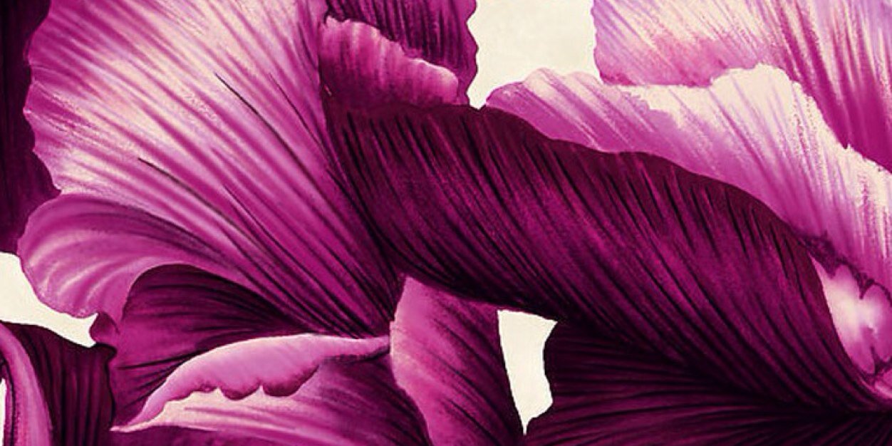 SicaStephany's profile banner image