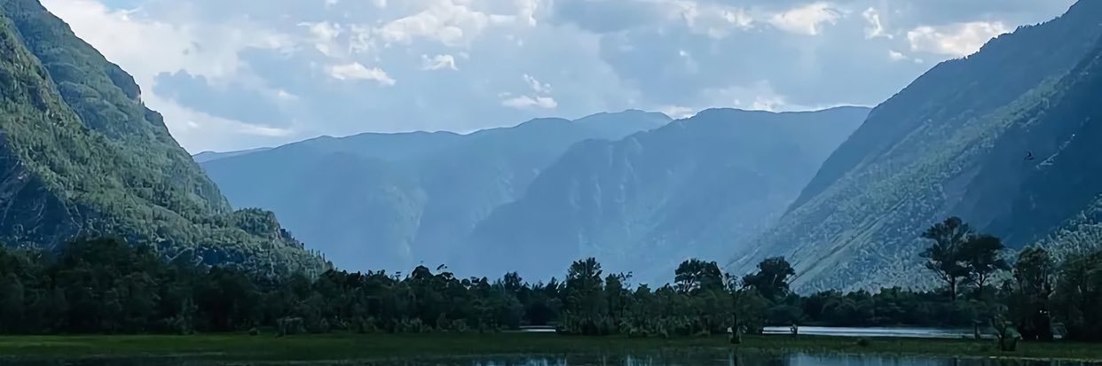 Steve ❤️ Memecoin banner