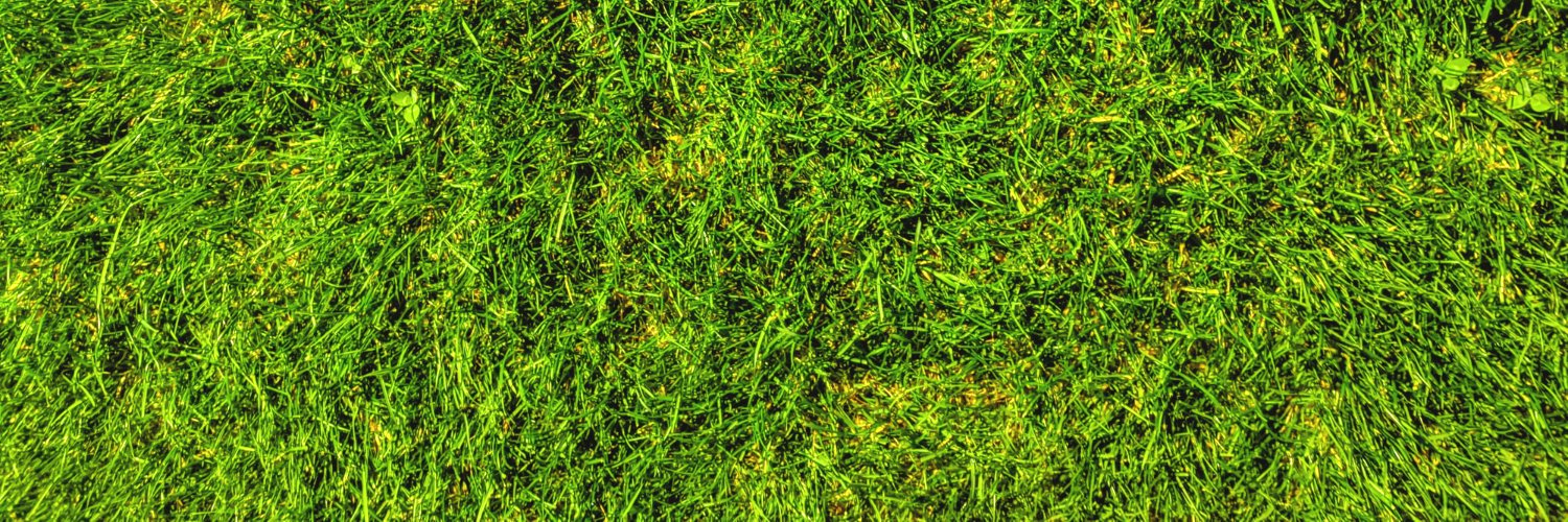 axl_cast's profile banner image