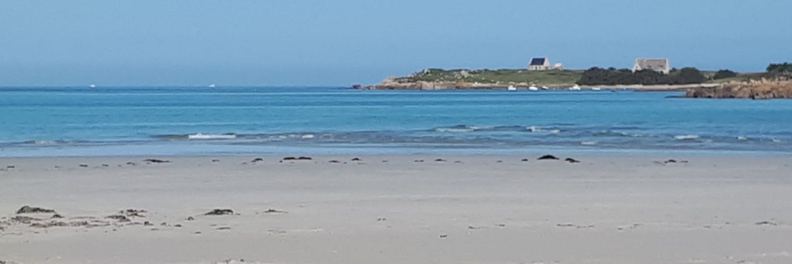 Nadine Quimerch banner