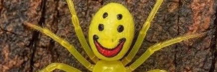 Aly_shitpost's profile banner image