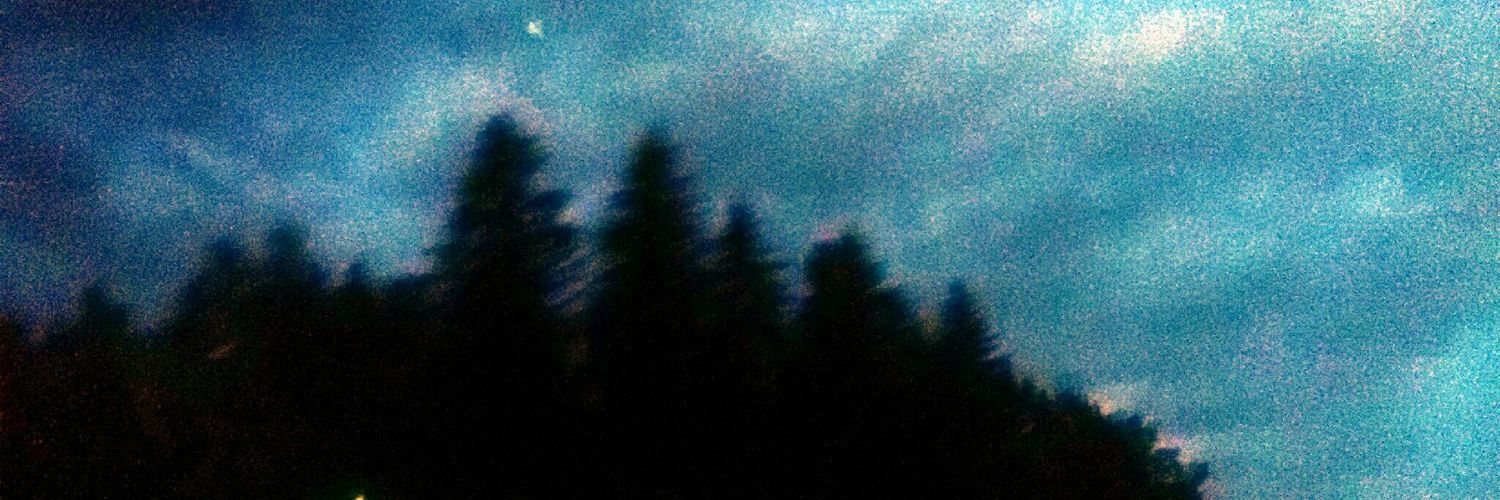 SabrinaBohra's profile banner image