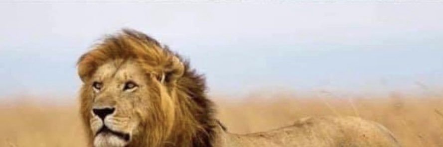 JCVan64's profile banner image
