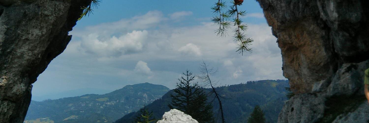 ozali_org's profile banner image