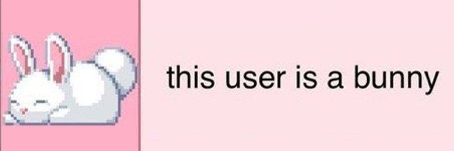 Ashou 🐇🌸🩷 banner