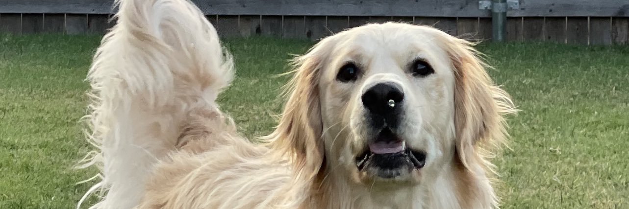 onecrazykatie's profile banner image