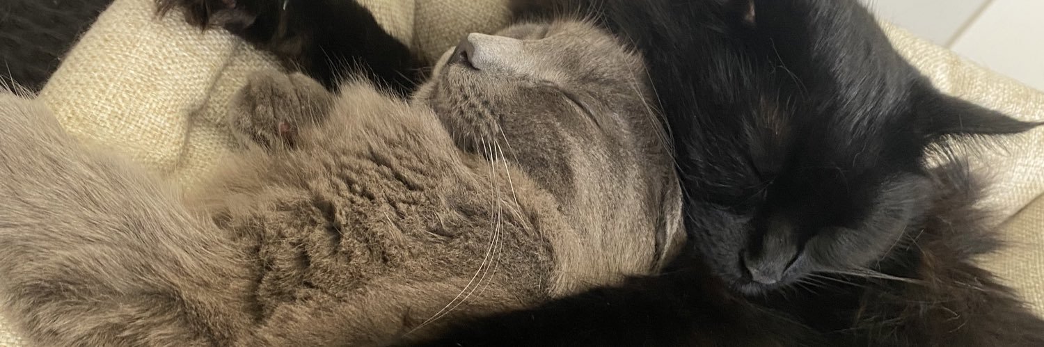 amandaa_betts's profile banner image