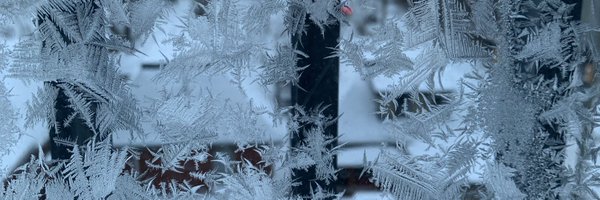MogProf Profile Banner