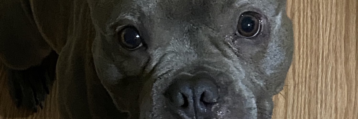 queenakem's profile banner image