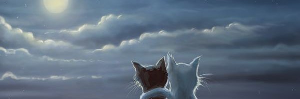 fohniwrights's profile banner image